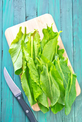 Similar image 7723205