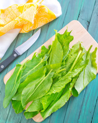 Similar image 7723206