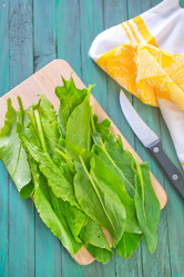 Similar image 7723211