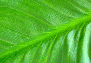 Similar image 7723245