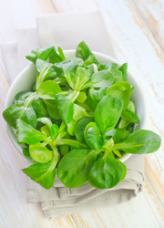 Similar image 7723441