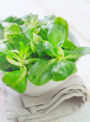 Similar image 7723442