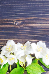 Similar image 7723555