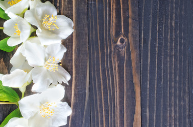 Similar image 7723556