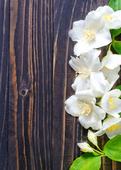 Similar image 7723558