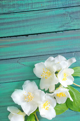 Similar image 7723563