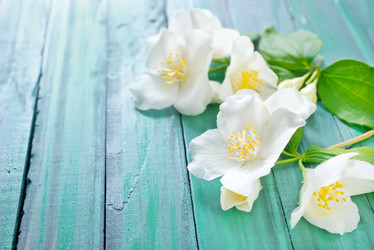 Similar image 7723568