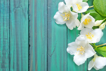 Similar image 7723585