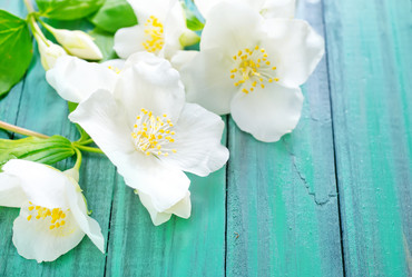 Similar image 7723586