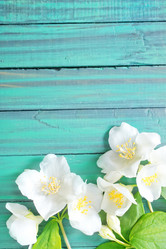 Similar image 7723593