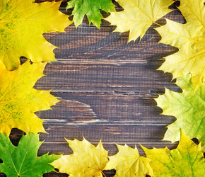 Similar image 7723623