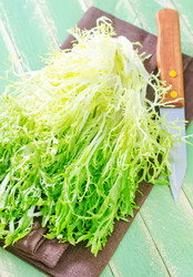 Similar image 7723648