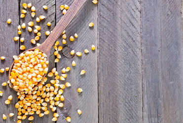 Similar image 7723683