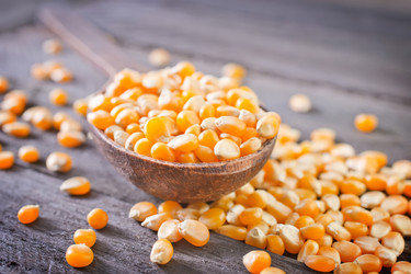 Similar image 7723690