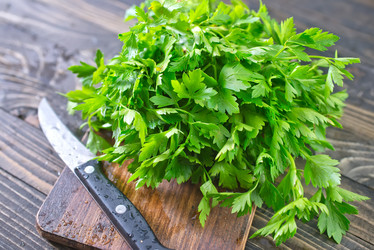 Similar image 7723756