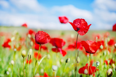 Similar image 7723801