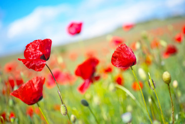 Similar image 7723813