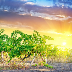 Similar image 7723816