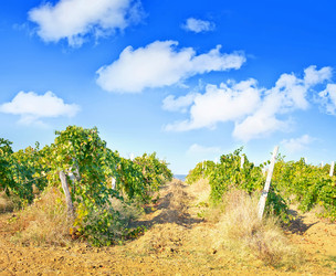 Similar image 7723817