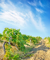 Similar image 7723818