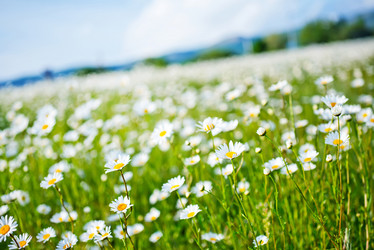 Similar image 7723820