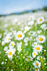 Similar image 7723822