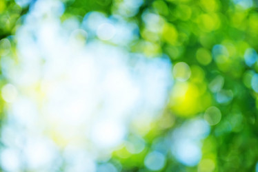 Similar image 7723823