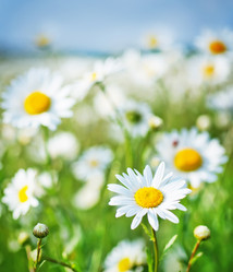 Similar image 7723833