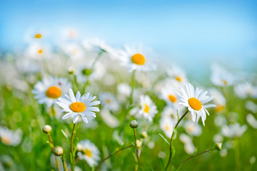 Similar image 7723834