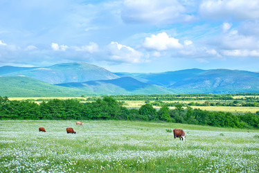 Similar image 7723922