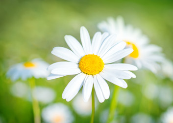 Similar image 7723933