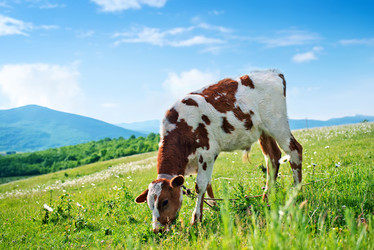 Similar image 7723934