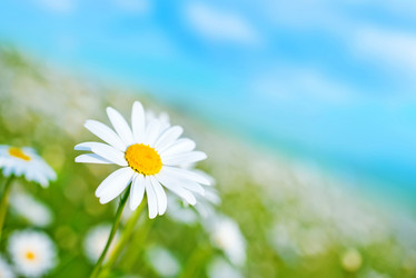 Similar image 7723945