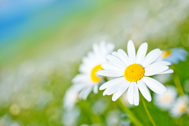 Similar image 7723946