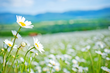 Similar image 7723947