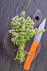 Similar image 7724017