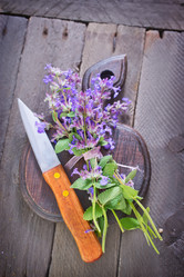 Similar image 7724024