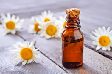 Similar image 7724045