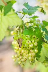 Similar image 7724112