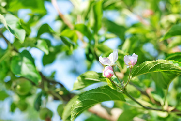 Similar image 7724114