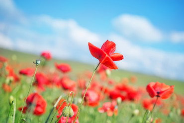 Similar image 7724116