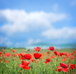 Similar image 7724117