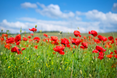 Similar image 7724121