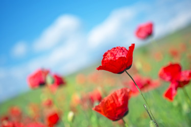 Similar image 7724122