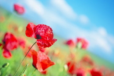 Similar image 7724123