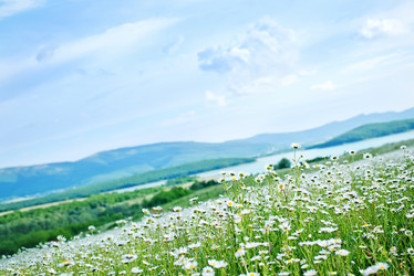 Similar image 7724124