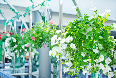 Similar image 7724126