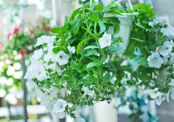 Similar image 7724127