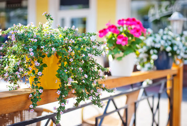 Similar image 7724128