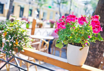 Similar image 7724129